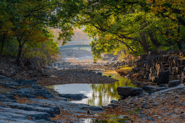 Creek reflecting trees during autumn at Oksan, Republic of Korea - Foto, immagini
