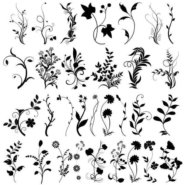 Flower elements - Vector, imagen