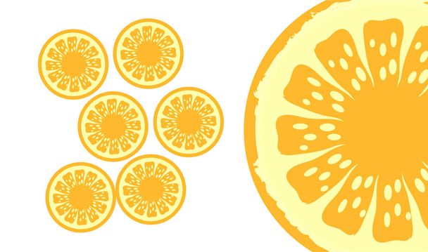 Ilustración de vectores de rodajas de limón sobre fondo blanco. - Vector, Imagen