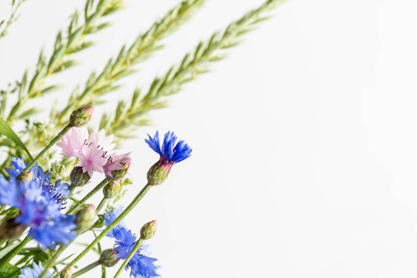 Beautiful wildflowers on a white background - Фото, зображення