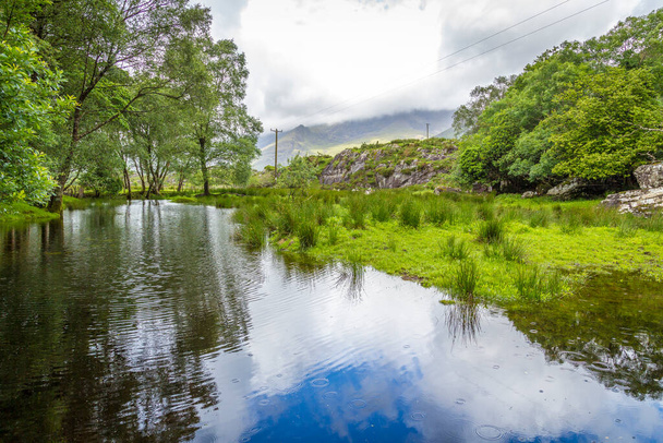 İrlanda, Kerry 'deki Killarney Ulusal Parkı - Fotoğraf, Görsel