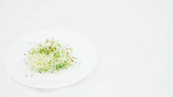 Micro green in a plate on a white background - Φωτογραφία, εικόνα