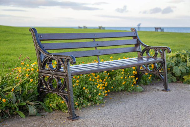 Dřevěná lavička v městském parku  - Fotografie, Obrázek