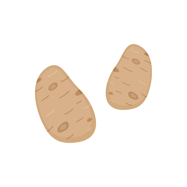 Patatas icono de ilustración vector vegetal. Set de patatas marrones dibujadas a mano. Aislado
. - Vector, Imagen