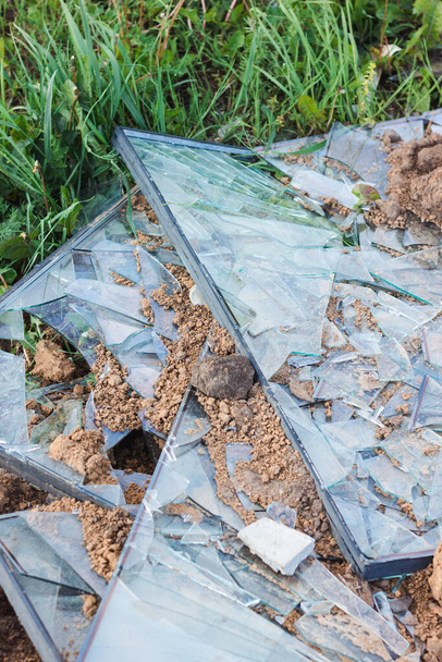 A shattered window on the ground, through which plants make their way. Shards. - Photo, Image