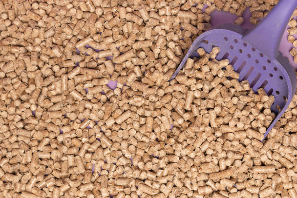 Ecological wood filler for cat litter and small animals guinea pigs, rabbits, turtles. Close-up and purple owl, toilet, background. - Photo, Image