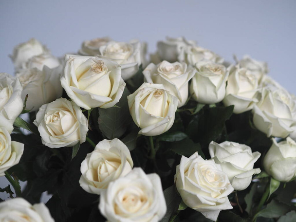 Bouquet white rose closeup. Background of flowers buds. - Fotografie, Obrázek