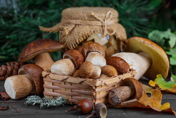 Mushroom Boletus in wooden wicker basket. Boletus edulis over Wood Background, close up on rustic table.  Cooking delicious organic mushroom. Gourmet food,Autumn Cep Mushrooms. Mushrooms Picking - Foto, afbeelding