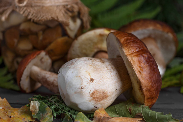Mushroom Boletus in wooden wicker basket. Boletus edulis over Wood Background, close up on rustic table.  Cooking delicious organic mushroom. Gourmet food,Autumn Cep Mushrooms. Mushrooms Picking - Photo, Image