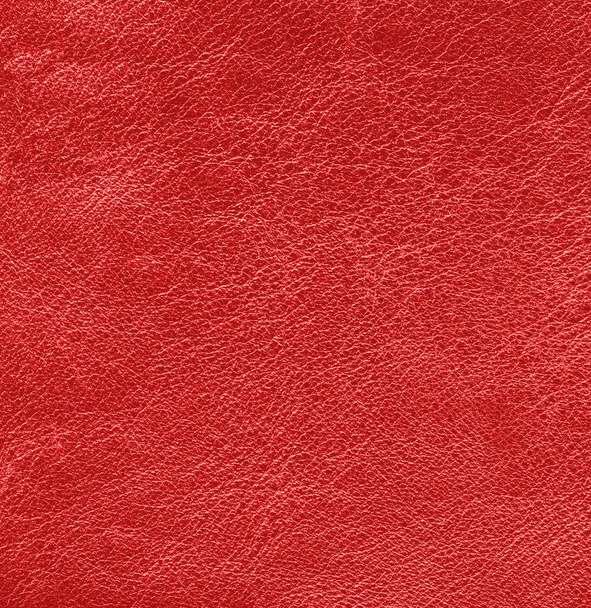 red leather background - Photo, image