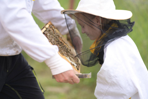 klein meisje imker werkt op een bijenstal in de korf - Foto, afbeelding