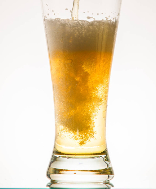 Bière en fond blanc  - Photo, image