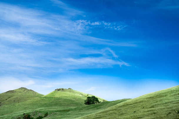 Green grass field on small hills and blue sky with clouds. Copy space for text. - Photo, Image