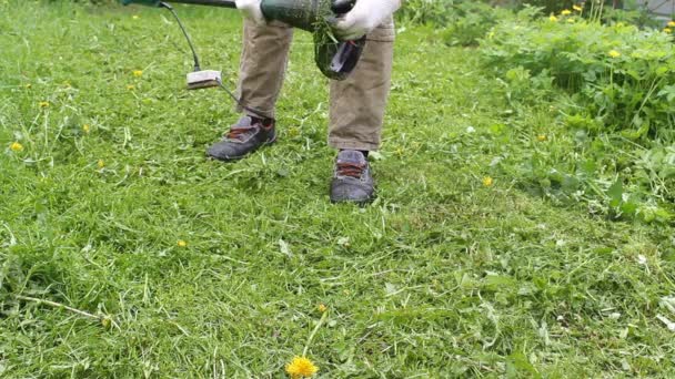 庭師は、生の草から庭で作業している間に電動トリマーをきれいにします。地方公共団体や民間労働者の夏の仕事. - 映像、動画