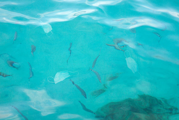 suojanaamari veden alla kaloilla - Valokuva, kuva