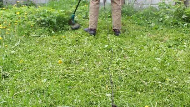 Brutális férfi kertész magas zöld füvet nyír, férfias kezekben kis fűnyírót tart, különböző irányokba repkedő gyomokat, közelit. Fű és pitypangok ellenőrzése a nyári kertben. - Felvétel, videó