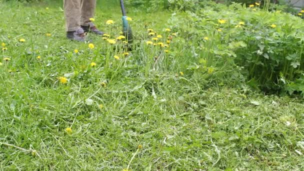 Brutális férfi kertész magas zöld füvet nyír, férfias kezekben kis fűnyírót tart, különböző irányokba repkedő gyomokat, közelit. Fű és pitypangok ellenőrzése a nyári kertben. - Felvétel, videó