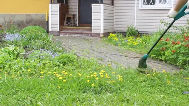 Brutaali mies puutarhuri leikkaa pitkä vihreä ruoho, tilalla miehekäs käsissä pieni ruohonleikkuri, rikkaruohot lentää eri suuntiin, lähikuva. Rikkakasvien ja voikukkien torjunta kesäpuutarhassa. - Materiaali, video