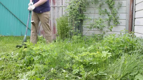 残酷な男性の庭師は、手動で小さな芝生の芝刈り機を手に保持背の高い緑の草を刈る雑草の異なる方向に、クローズアップ飛んでいます。夏の庭で雑草やタンポポの制御. - 映像、動画