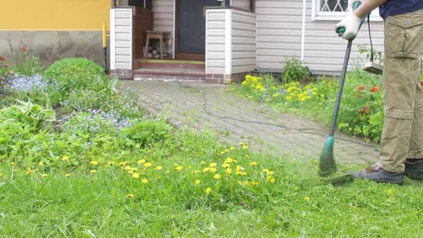 Βίαιος αρσενικός κηπουρός κουρεύει ψηλό πράσινο γρασίδι, κρατώντας σε αντρικά χέρια μικρή χορτοκοπτική μηχανή, ζιζάνια που πετούν σε διαφορετικές κατευθύνσεις, κοντινό πλάνο. Ο έλεγχος ζιζανίων και πικραλίδων στον καλοκαιρινό κήπο. - Πλάνα, βίντεο