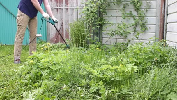 Βίαιος αρσενικός κηπουρός κουρεύει ψηλό πράσινο γρασίδι, κρατώντας σε αντρικά χέρια μικρή χορτοκοπτική μηχανή, ζιζάνια που πετούν σε διαφορετικές κατευθύνσεις, κοντινό πλάνο. Ο έλεγχος ζιζανίων και πικραλίδων στον καλοκαιρινό κήπο. - Πλάνα, βίντεο