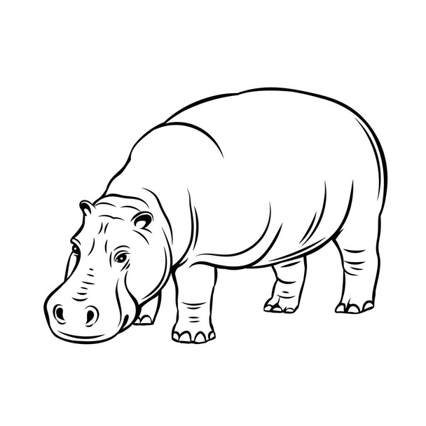 Hippopotamus animal icon. Hippo badge for zoo design. Vector illustration. - Вектор,изображение
