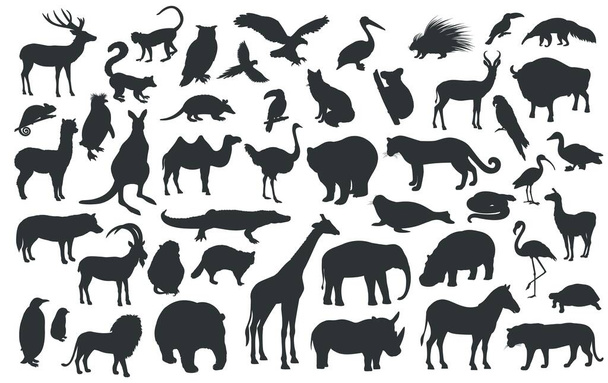 Silhouettes of traditional animals zoo. Bear, giraffe, panda, tiger, lion, camel and other wild animals and birds. Vector illustration. - Vetor, Imagem