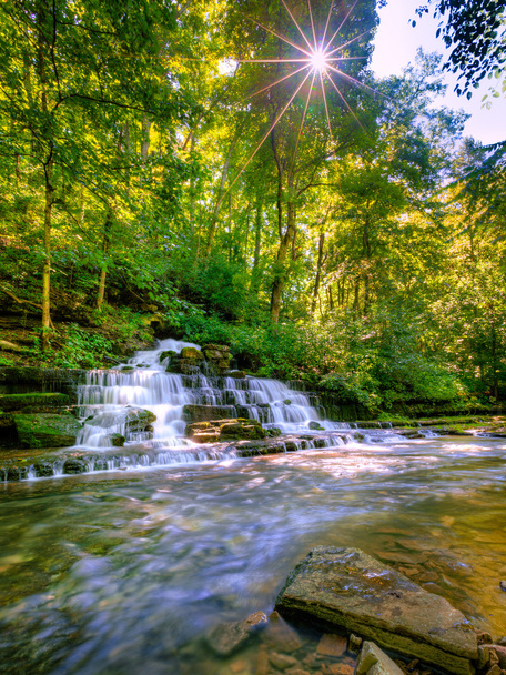 Forest waterfall - Photo, Image