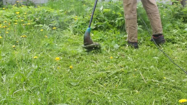 A tall man in a blue t-shirt and medical mask mows the lawn with an electric lawn mower. Warm summer weather, grass moving in the wind. Weed and dandelion control in the garden of a private house. - Footage, Video
