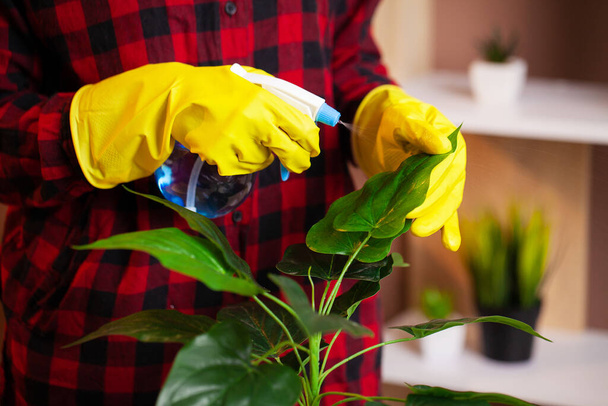 An employee of a cleaning company cleans the office and takes care of the plants - 写真・画像