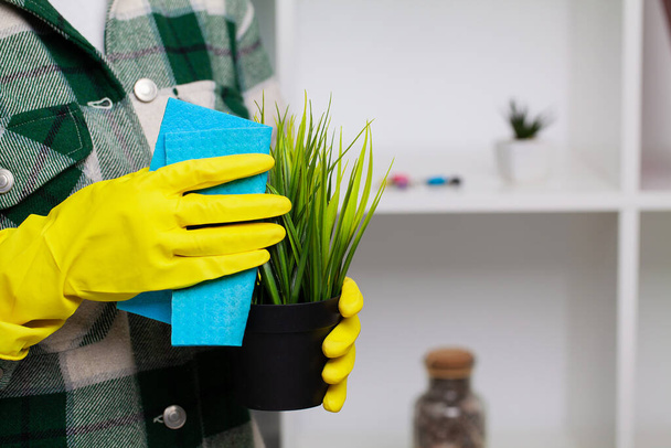Bir temizlik şirketinin çalışanı ofisi temizler ve bitkilerle ilgilenir. - Fotoğraf, Görsel