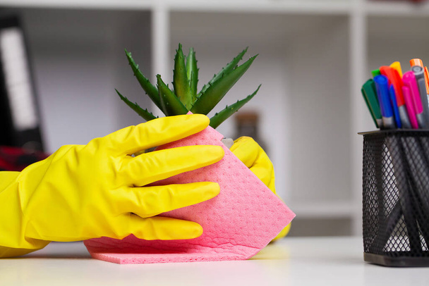 Υπάλληλος εταιρείας καθαρισμού καθαρίζει το γραφείο και φροντίζει τα φυτά - Φωτογραφία, εικόνα