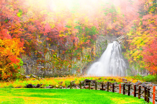 vesiputous vihreä niitty ja kokoelma kauniita värikkäitä syksyn lehdet / vihreä, keltainen, oranssi, punainen Japanissa - Valokuva, kuva