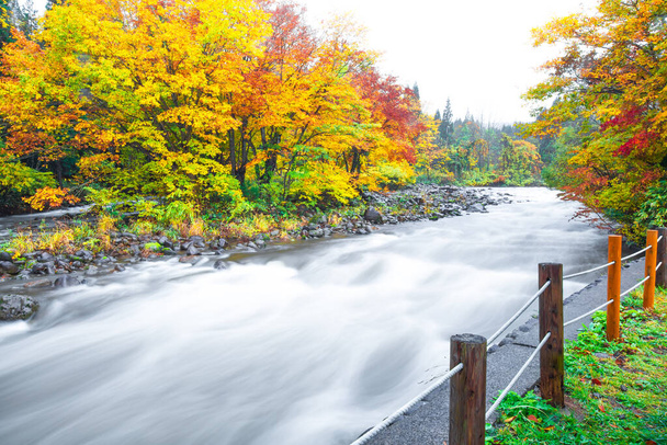 paisagem de outono nas montanhas com árvores refletindo no grande foco water.soft
. - Foto, Imagem