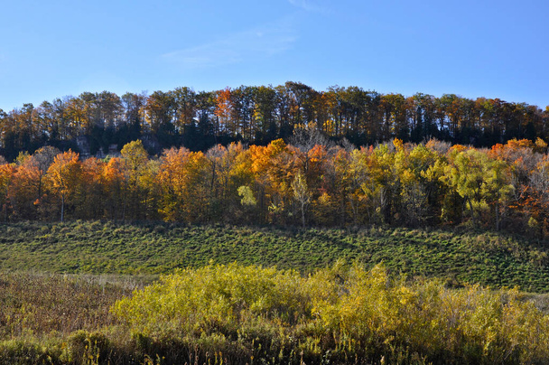 Profielweergave van Niagara Escarpment in de herfst, Milton, Ontario, Canada. - Foto, afbeelding