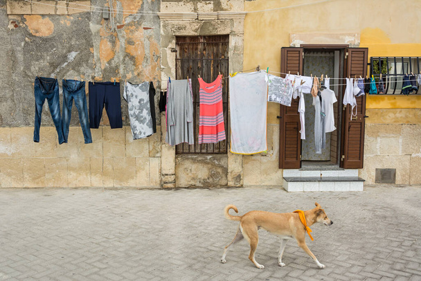 Vaatteet ja koira edessä tyypillinen Etelä-Italian kaupunkitalot saarella Sisilia - Valokuva, kuva