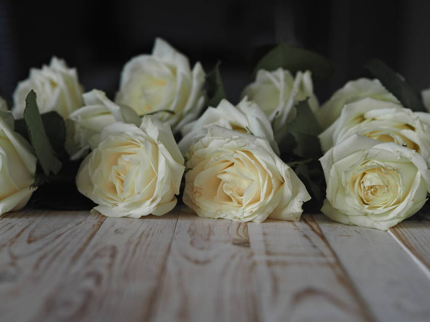 White roses laid out in front on a light wooden decorative background for congratulation text. Spring floral background. - Foto, Imagem