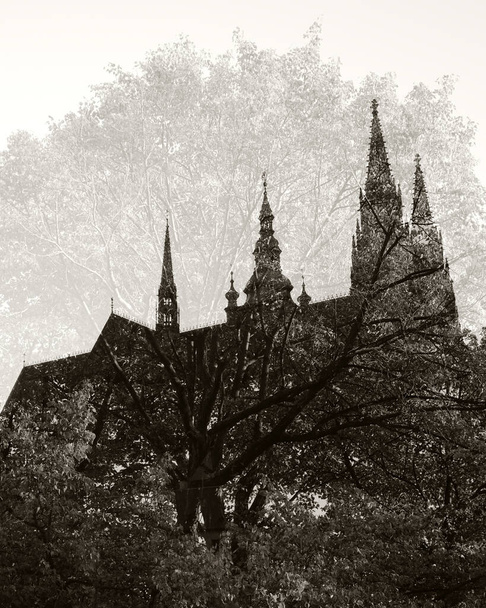 View of St. Vitus Cathedral from the Deer Moat. Monochrome. Multiple exposure. - Photo, Image