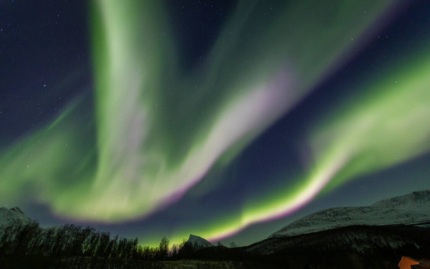Пейзаж с Aurora Borealis над Lakselvbukt, Северная Норвегия - Фото, изображение