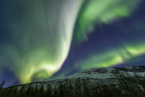 Landschap met Aurora Borealis boven Lakselvbukt, Noord-Noorwegen - Foto, afbeelding