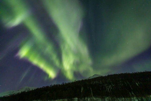Landscape with Aurora Borealis over Lakselvbukt, North Norway  - Photo, Image