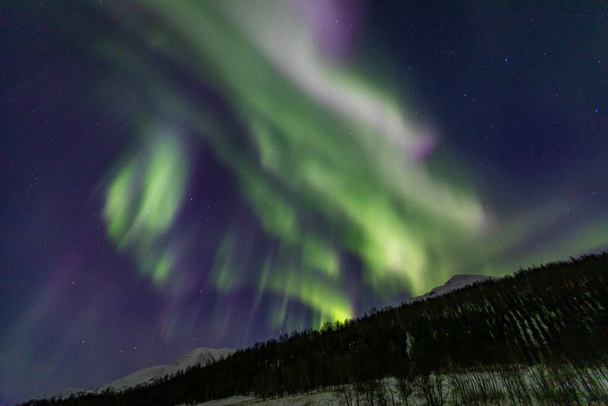 Paisaje con Aurora Borealis sobre Lakselvbukt, norte de Noruega.  - Foto, Imagen