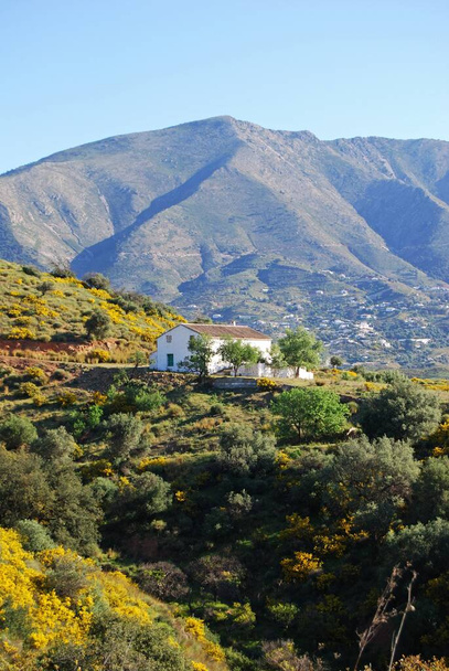 Vue d'une ferme champêtre dans les montagnes, Près de Mijas, Costa del Sol, Province de Malaga, Andalousie, Espagne, Europe
. - Photo, image