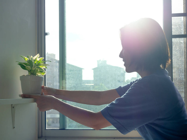 Linda mulher asiática feliz segurando e cuidando de plantas verdes em vaso perto da janela no apartamento na parte da manhã com luz solar, luz de fundo e sol flare estilo
. - Foto, Imagem
