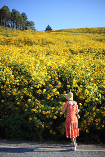 Women are strolling and Mountain scenery filled with yellow flowers or Mexican sunflower (Tung Bua Tong) at Doi Mae U Kho, Mae Hong Son, Thailand - Photo, Image