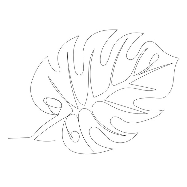  fundo branco, folha de palma linha contínua desenho, esboço
 - Vetor, Imagem