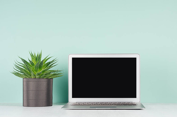 Elegant spring home workplace with blank notebook screen,  green house plant aloe in  black ribbed pot in soft light green mint menthe interior on white wood desk. - Foto, Bild