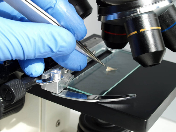 investigador científico que trabaja en el laboratorio de atención médica tomando una pequeña pieza del microscopio con pinzas
 - Foto, Imagen