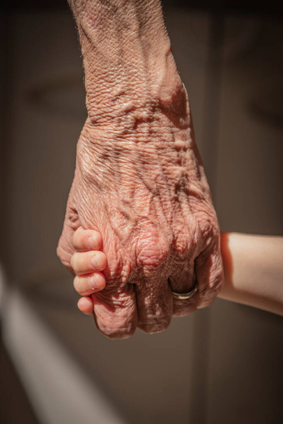Egy idős nő (idős hölgy, nagymama) fogja a kisunokája kis kezét. Családi egység, szeretet, segítség, segítség. Kor és generációs különbség. Öregített és ráncos kezek fiatal kezekkel. - Fotó, kép