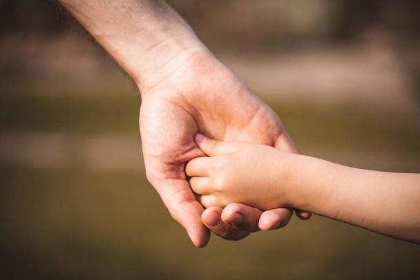 Eltern halten die Hand eines kleinen Kindes. Die Hand des Vaters führte sein Kind in die sommerliche Natur. Familien- oder Vatertagskonzept. - Foto, Bild